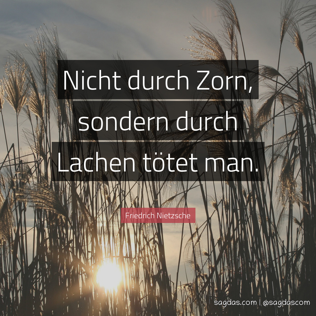 Friedrich Nietzsche Zitat Nicht durch Zorn, sondern sagdas