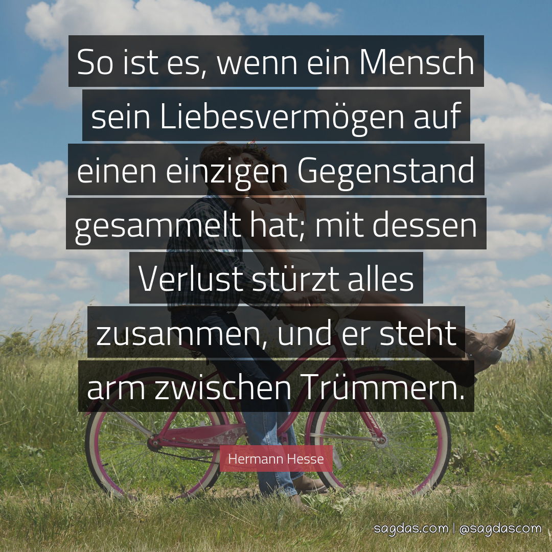 Hermann Hesse Zitat So ist es, wenn ein Mensch sein sagdas