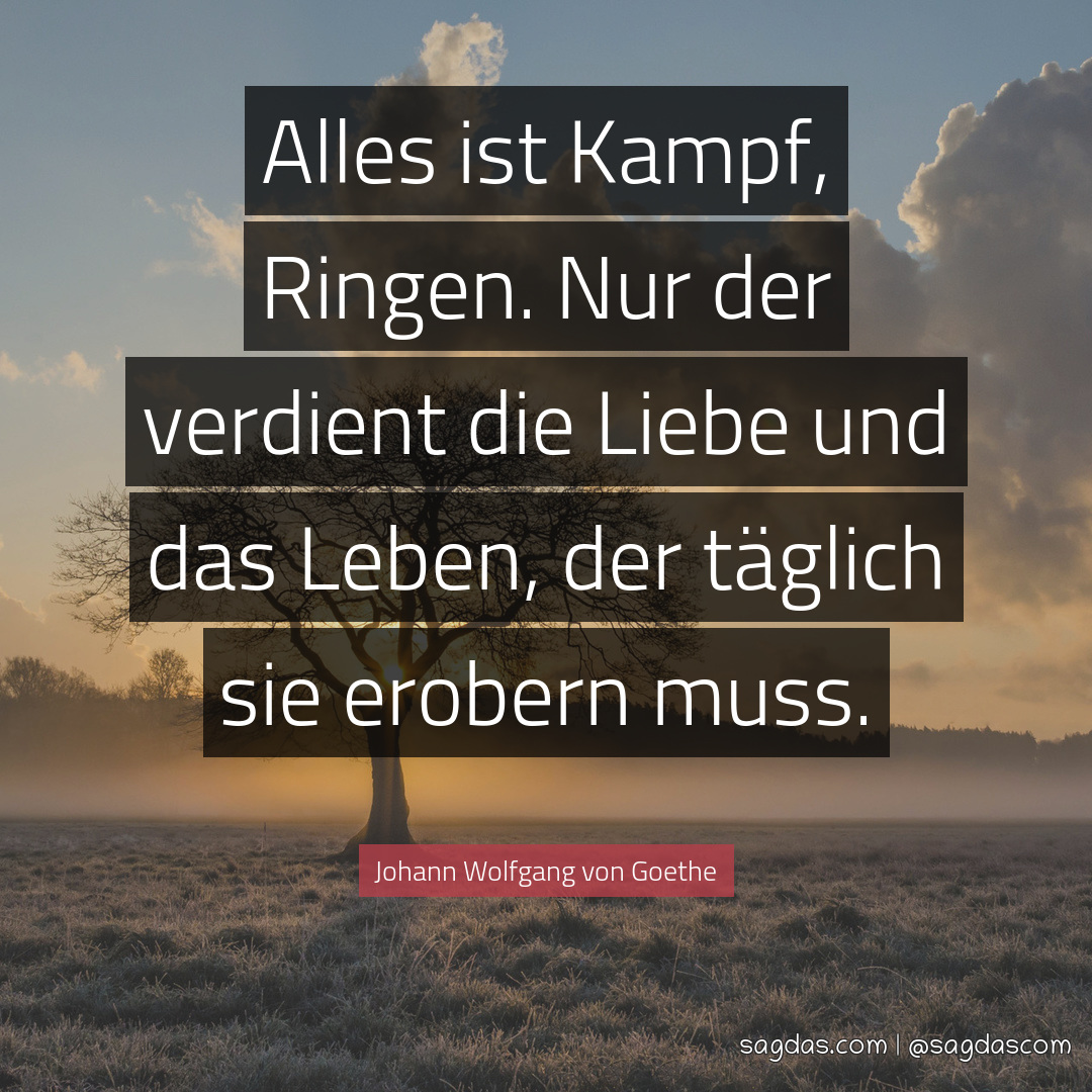 Johann Wolfgang Von Goethe Zitat Alles Ist Kampf Sagdas