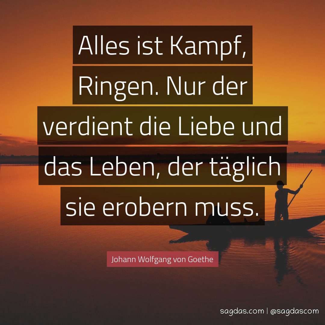 Johann Wolfgang von Goethe Zitat Alles ist Kampf, sagdas