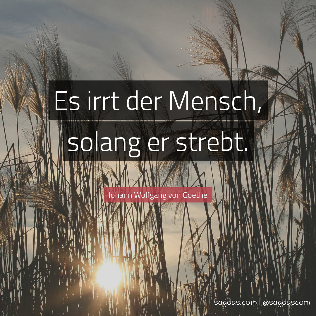 Johann Wolfgang von Goethe Zitat Es irrt der Mensch, sagdas Johann Wolfgang von Goethe Zitat Es irrt der Mensch, sagdas