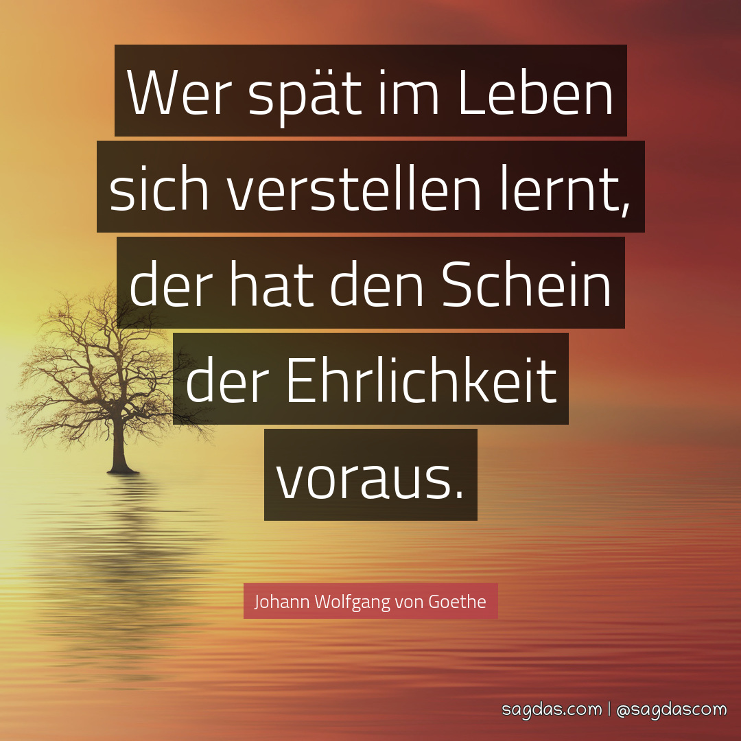 Johann Wolfgang von Goethe Zitat Wer spät im Leben sagdas