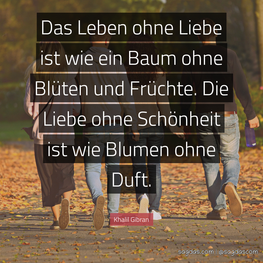 Ohne liebe leben sprüche