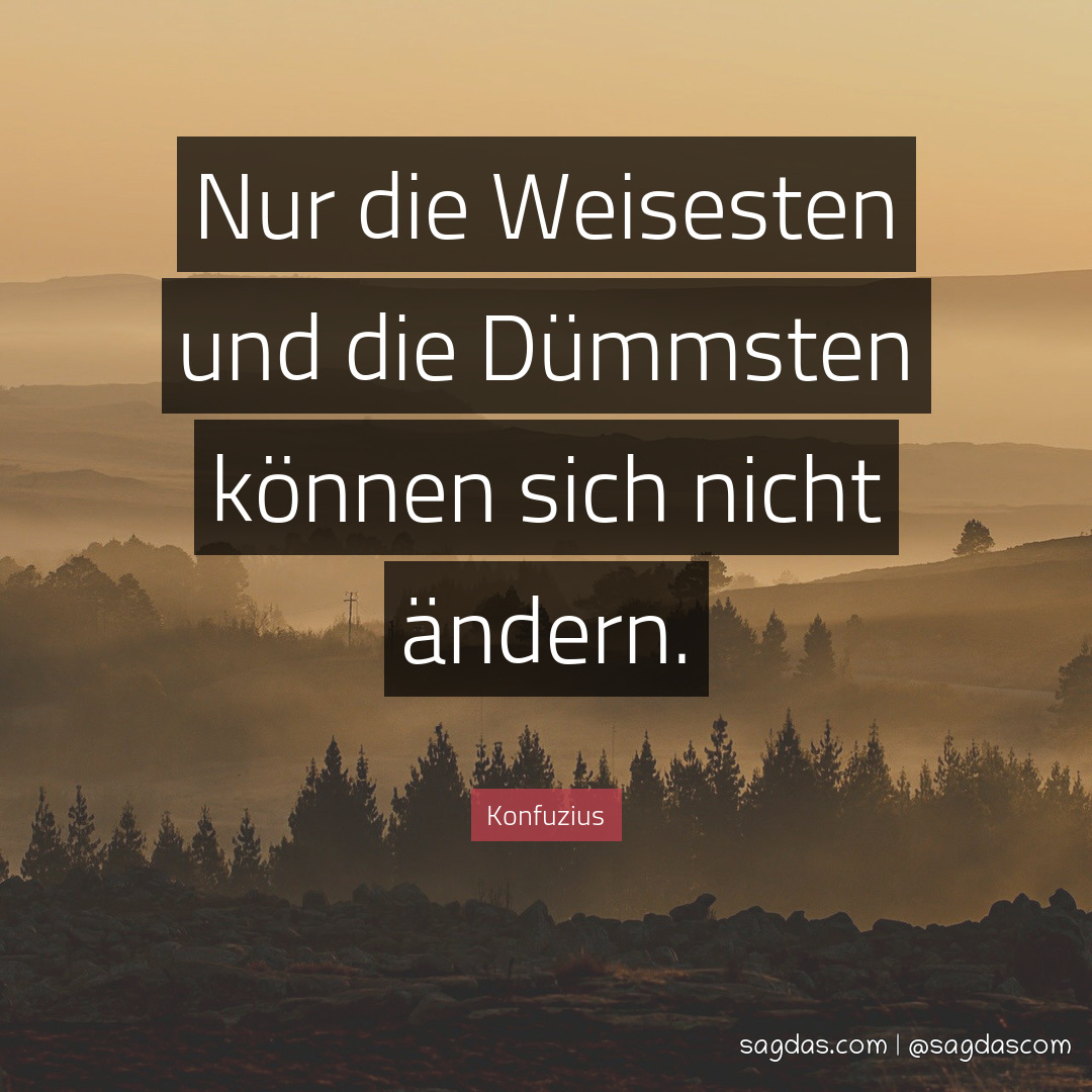 Konfuzius Zitat Nur die Weisesten und die Dümmsten sagdas