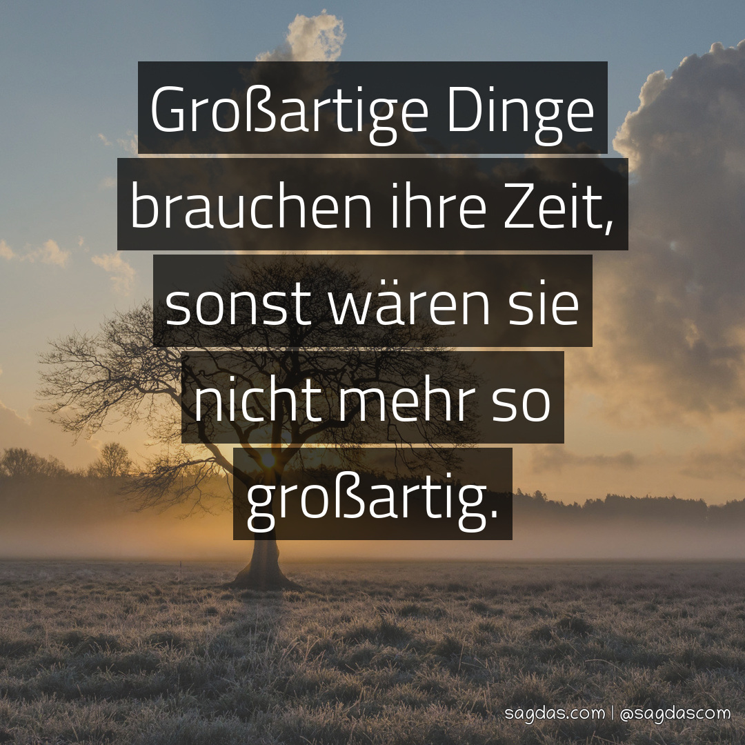 Spruch Großartige Dinge brauchen ihre Zeit, sonst sagdas