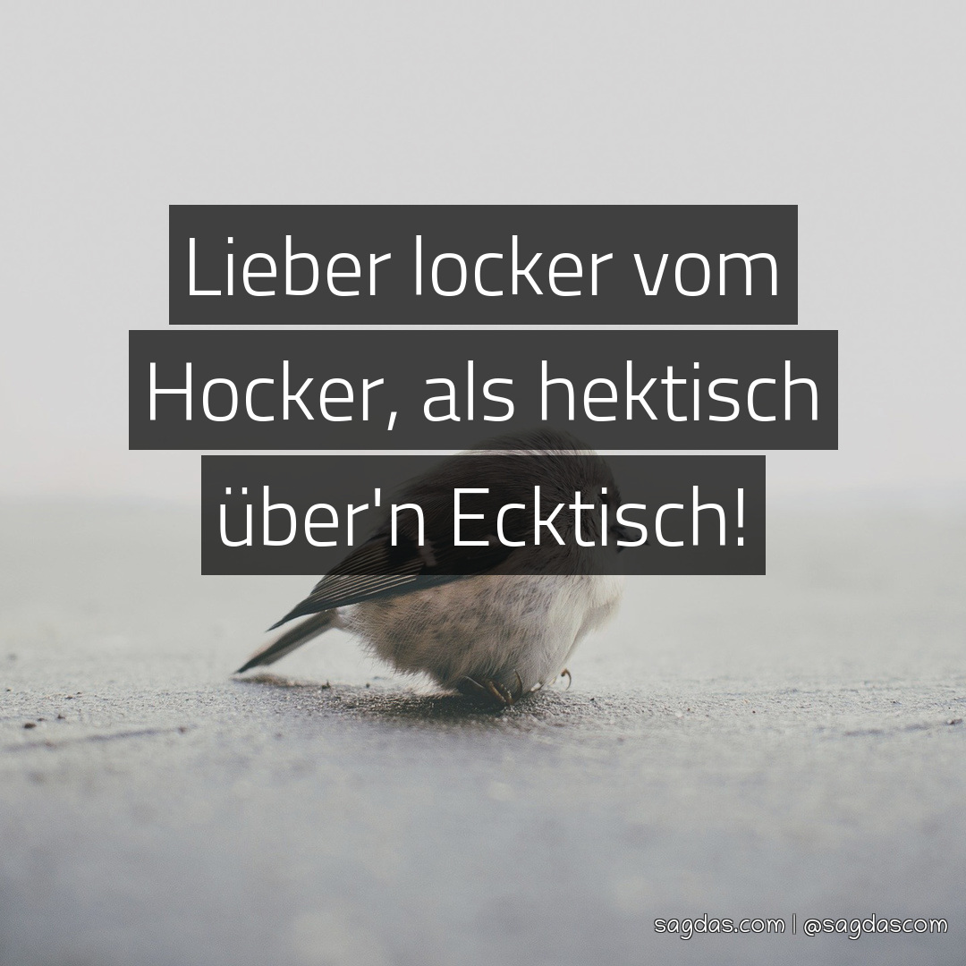 Spruch Lieber locker vom Hocker, als hektisch über'n sagdas