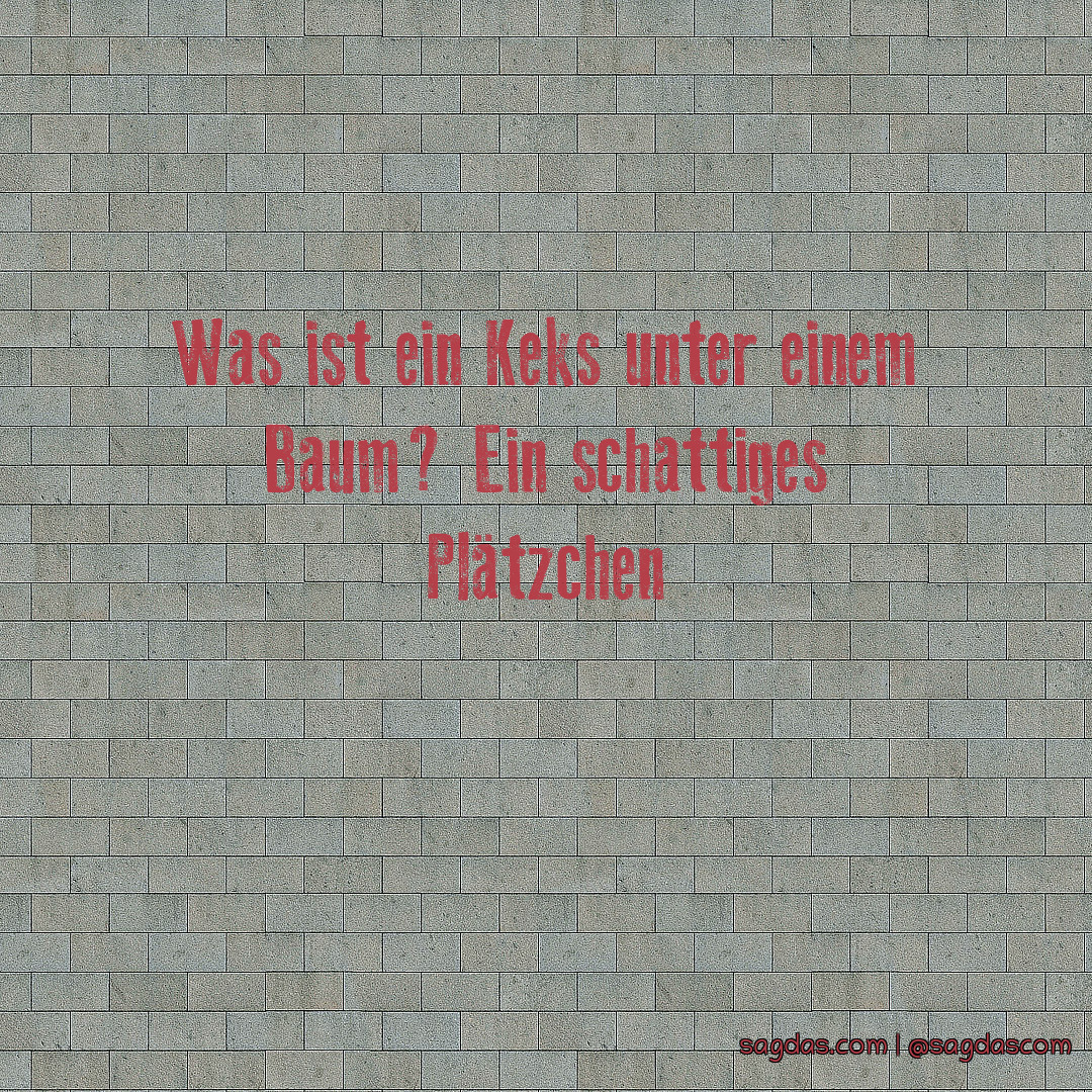 Spruch Was ist ein Keks unter einem Baum? Ein sagdas Spruch Was ist ein Keks unter einem Baum? Ein sagdas