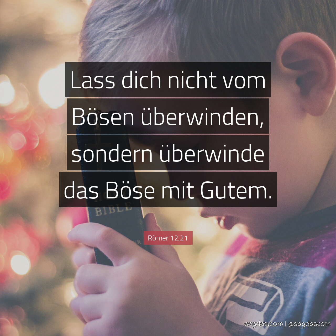 bilder mit bösen sprüchen