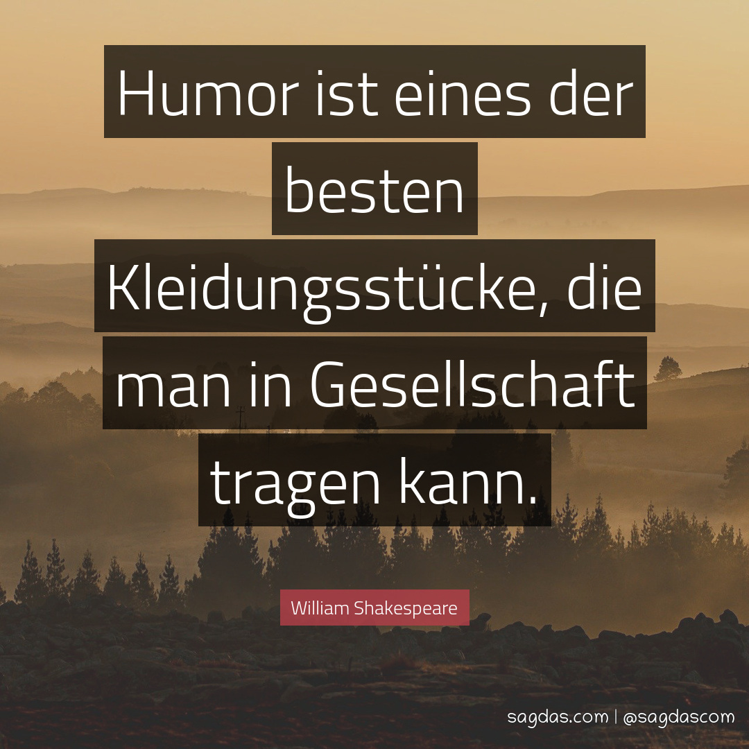 Humor ist eines der besten Kleidungsstücke, die man in Gesellschaft tragen kann.
