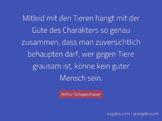 Sprüche Gegen Oberflächlichkeit Marketingfactsupdates